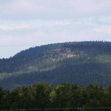 Haga Betong Lägenhet Enånger Exteriör bild